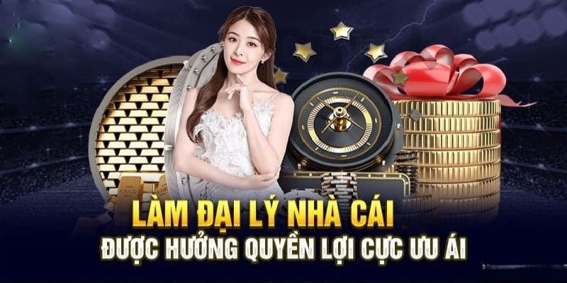 Chính sách đại lý nhà cái Nbet